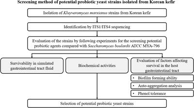 Survivability of Kluyveromyces marxianus Isolated From Korean Kefir in a Simulated Gastrointestinal Environment